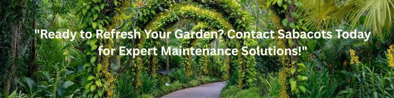 garden maintenance services