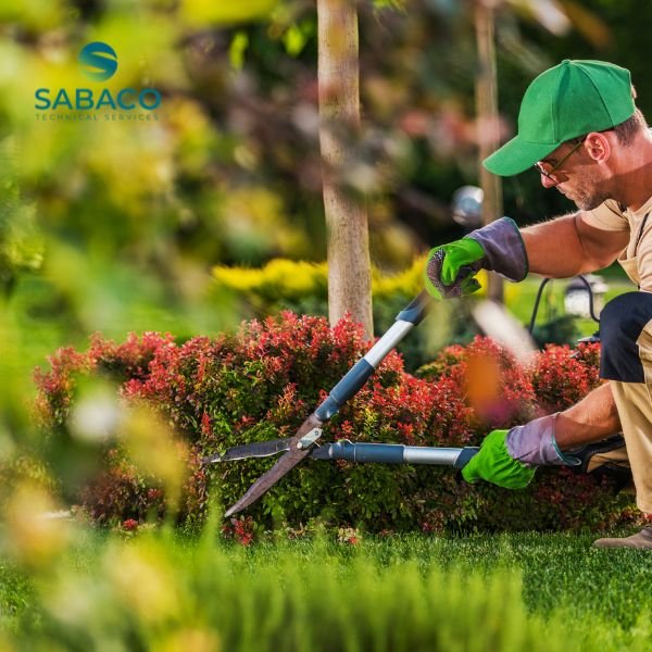 garden landscaping dubai