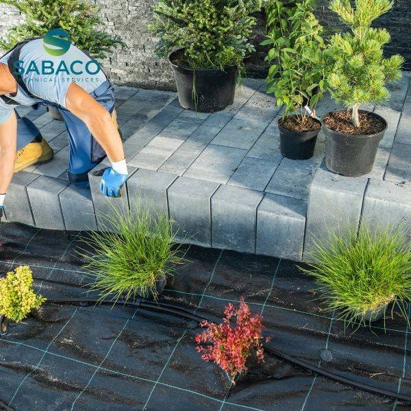 garden landscaping dubai