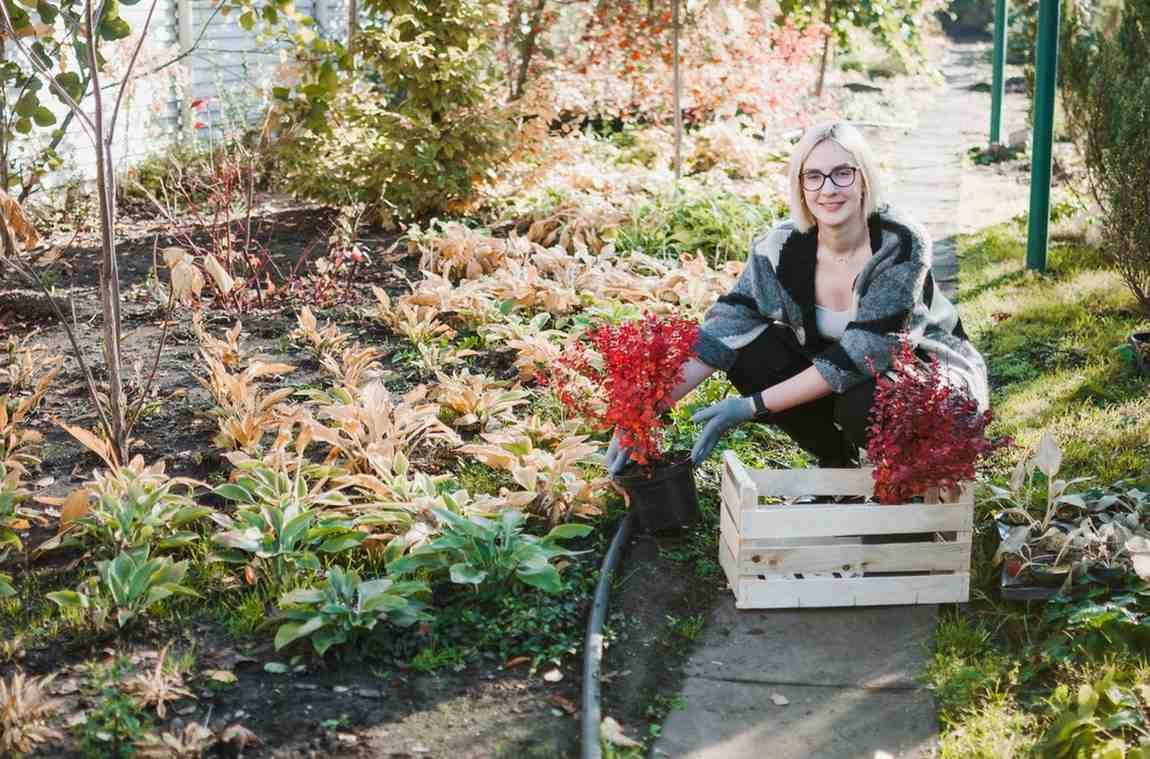 Seasonal Cleanup & Planting