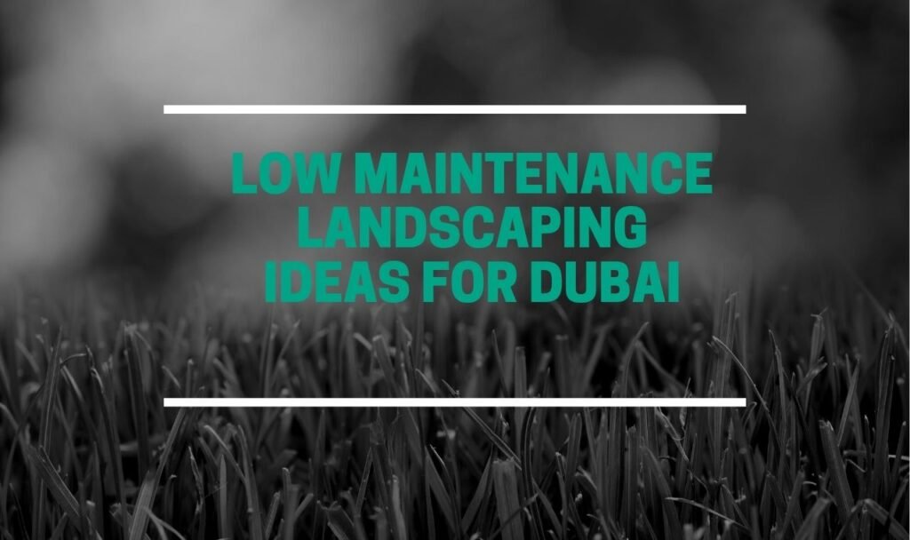 Low Maintenance Landscaping Ideas for Dubai