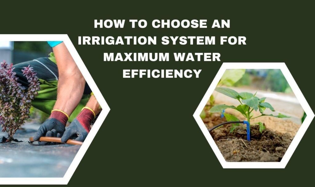 How to Choose an Irrigation System
