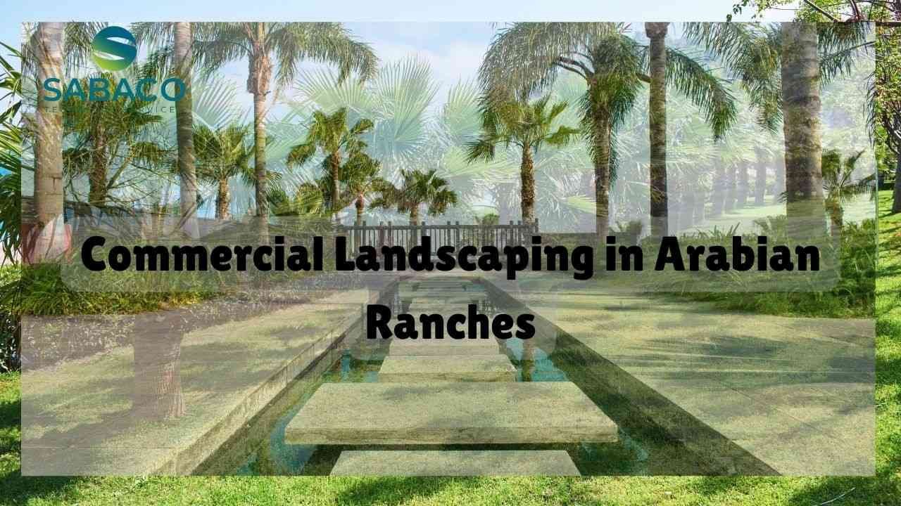 Commercial Landscaping in Arabian Ranches